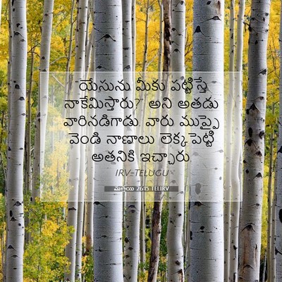 Picture 07 - మత్తయి 26:15 TELIRV - “యేసును మీకు - Bible Verse Picture