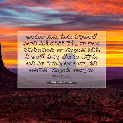 Picture 07 - మత్తయి 26:18 TELIRV - అందుకాయన, “మీరు - Bible Verse Picture