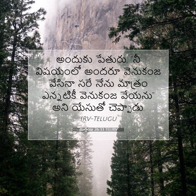 Picture 07 - మత్తయి 26:33 TELIRV - అందుకు పేతురు, “నీ - Bible Verse Picture
