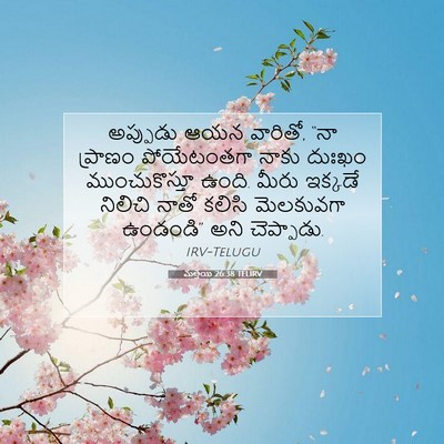 Picture 07 - మత్తయి 26:38 TELIRV - అప్పుడు ఆయన - Bible Verse Picture