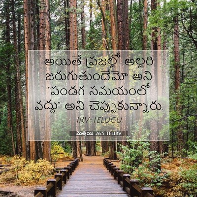 Picture 07 - మత్తయి 26:5 TELIRV - అయితే ప్రజల్లో - Bible Verse Picture