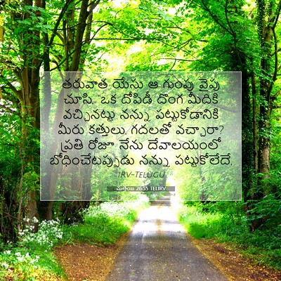 Picture 07 - మత్తయి 26:55 TELIRV - తరువాత యేసు ఆ - Bible Verse Picture