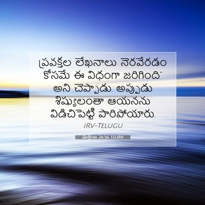 Picture 07 - మత్తయి 26:56 TELIRV - ప్రవక్తల లేఖనాలు - Bible Verse Picture