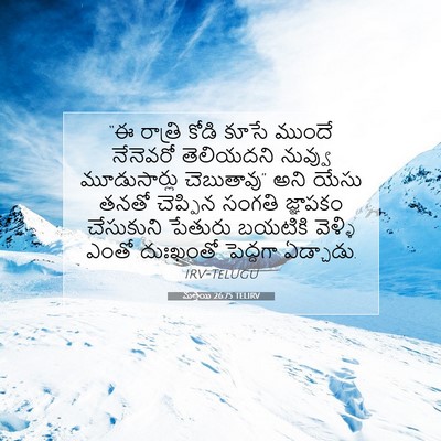 Picture 07 - మత్తయి 26:75 TELIRV - “ఈ రాత్రి కోడి - Bible Verse Picture