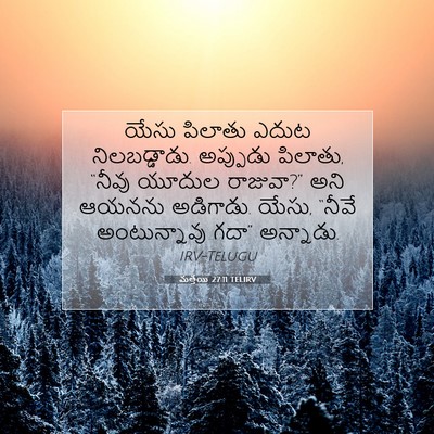 Picture 07 - మత్తయి 27:11 TELIRV - యేసు పిలాతు ఎదుట - Bible Verse Picture
