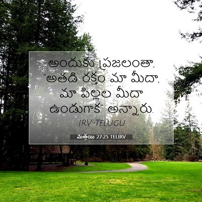 Picture 07 - మత్తయి 27:25 TELIRV - అందుకు ప్రజలంతా, - Bible Verse Picture