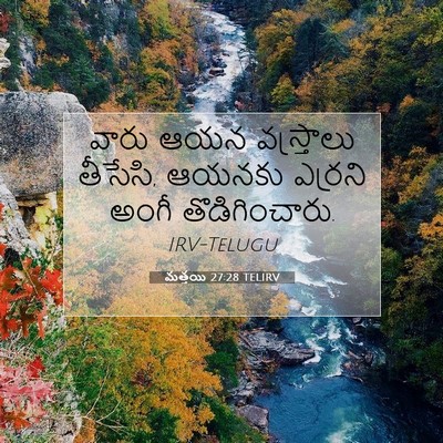 Picture 07 - మత్తయి 27:28 TELIRV - వారు ఆయన - Bible Verse Picture