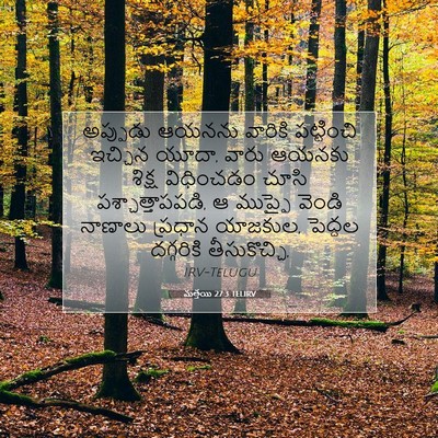 Picture 07 - మత్తయి 27:3 TELIRV - అప్పుడు ఆయనను - Bible Verse Picture