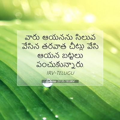 Picture 07 - మత్తయి 27:35 TELIRV - వారు ఆయనను సిలువ - Bible Verse Picture