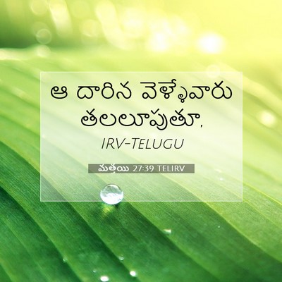 Picture 07 - మత్తయి 27:39 TELIRV - ఆ దారిన - Bible Verse Picture