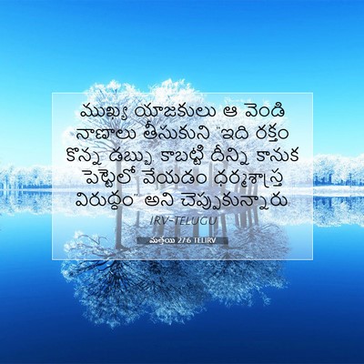 Picture 07 - మత్తయి 27:6 TELIRV - ముఖ్య యాజకులు ఆ - Bible Verse Picture