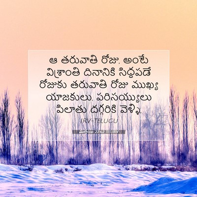 Picture 07 - మత్తయి 27:62 TELIRV - ఆ తరువాతి రోజు, - Bible Verse Picture