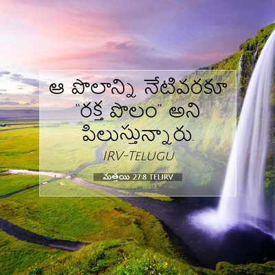 Picture 07 - మత్తయి 27:8 TELIRV - ఆ పొలాన్ని - Bible Verse Picture