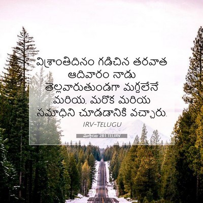 Picture 07 - మత్తయి 28:1 TELIRV - విశ్రాంతిదినం - Bible Verse Picture