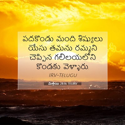 Picture 07 - మత్తయి 28:16 TELIRV - పదకొండు మంది - Bible Verse Picture