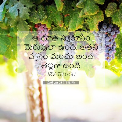 Picture 07 - మత్తయి 28:3 TELIRV - ఆ దూత స్వరూపం - Bible Verse Picture