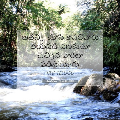 Picture 07 - మత్తయి 28:4 TELIRV - అతన్ని చూసి - Bible Verse Picture