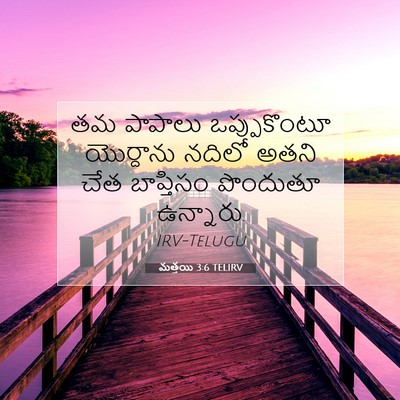 Picture 07 - మత్తయి 3:6 TELIRV - తమ పాపాలు - Bible Verse Picture