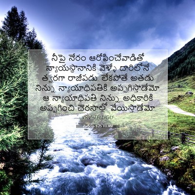 Picture 07 - మత్తయి 5:25 TELIRV - నీపై నేరం - Bible Verse Picture