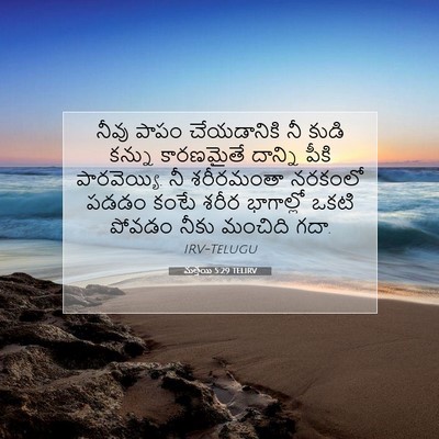 Picture 07 - మత్తయి 5:29 TELIRV - నీవు పాపం - Bible Verse Picture