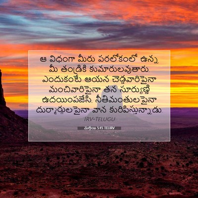 Picture 07 - మత్తయి 5:45 TELIRV - ఆ విధంగా మీరు - Bible Verse Picture