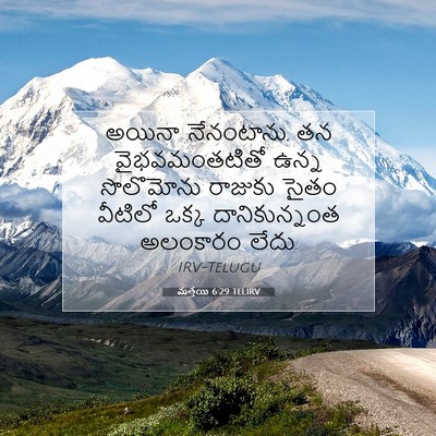 Picture 07 - మత్తయి 6:29 TELIRV - అయినా నేనంటాను, తన - Bible Verse Picture
