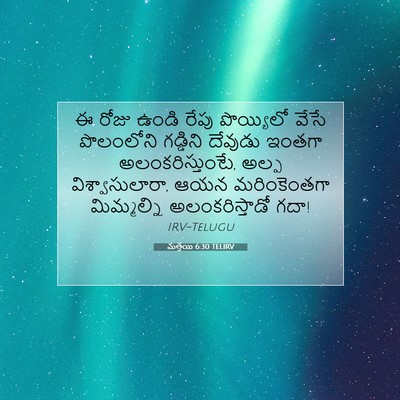 Picture 07 - మత్తయి 6:30 TELIRV - ఈ రోజు ఉండి రేపు - Bible Verse Picture
