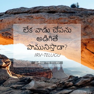 Picture 07 - మత్తయి 7:10 TELIRV - లేక వాడు చేపను - Bible Verse Picture