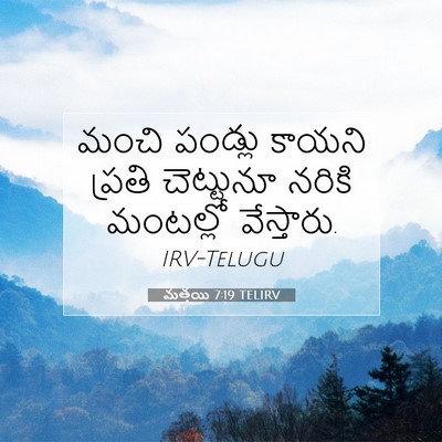 Picture 07 - మత్తయి 7:19 TELIRV - మంచి పండ్లు కాయని - Bible Verse Picture