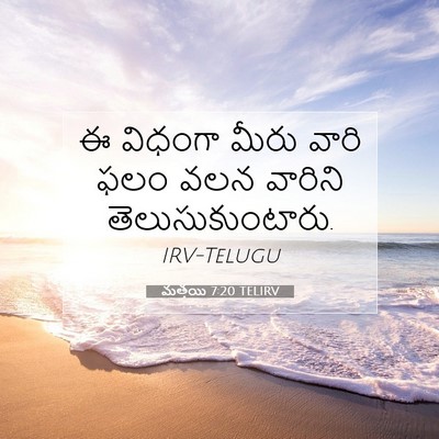 Picture 07 - మత్తయి 7:20 TELIRV - ఈ విధంగా మీరు వారి - Bible Verse Picture