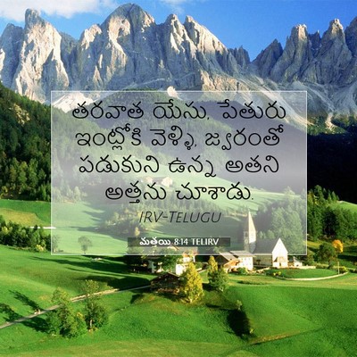 Picture 07 - మత్తయి 8:14 TELIRV - తరవాత యేసు, పేతురు - Bible Verse Picture
