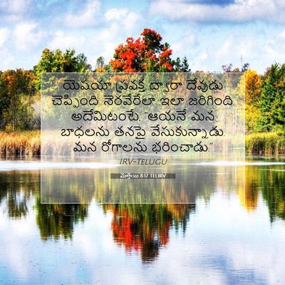 Picture 07 - మత్తయి 8:17 TELIRV - యెషయా ప్రవక్త - Bible Verse Picture