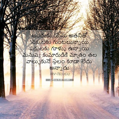 Picture 07 - మత్తయి 8:20 TELIRV - అందుకు యేసు - Bible Verse Picture