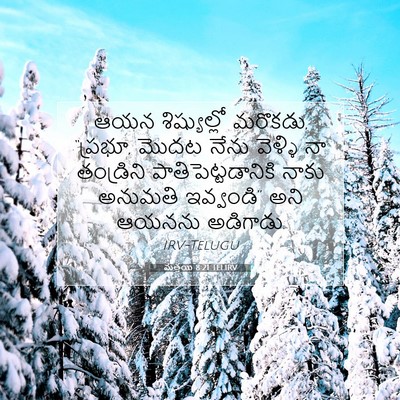 Picture 07 - మత్తయి 8:21 TELIRV - ఆయన శిష్యుల్లో - Bible Verse Picture