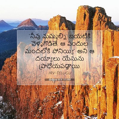Picture 07 - మత్తయి 8:31 TELIRV - “నీవు మమ్మల్ని - Bible Verse Picture