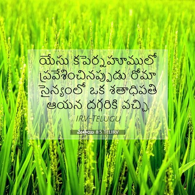 Picture 07 - మత్తయి 8:5 TELIRV - యేసు కపెర్నహూములో - Bible Verse Picture