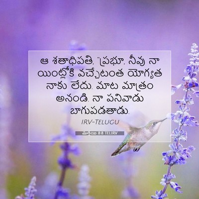 Picture 07 - మత్తయి 8:8 TELIRV - ఆ శతాధిపతి, “ప్రభూ, - Bible Verse Picture