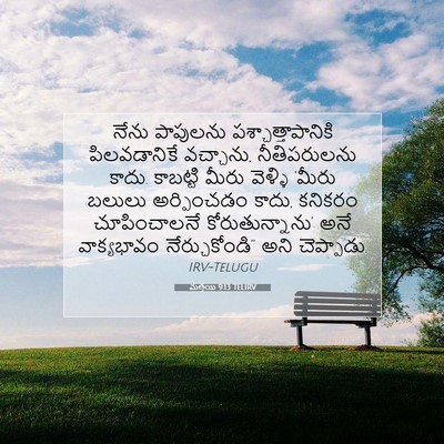 Picture 07 - మత్తయి 9:13 TELIRV - నేను పాపులను - Bible Verse Picture
