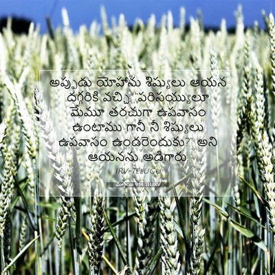 Picture 07 - మత్తయి 9:14 TELIRV - అప్పుడు యోహాను - Bible Verse Picture