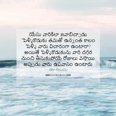 Picture 07 - మత్తయి 9:15 TELIRV - యేసు వారికిలా - Bible Verse Picture