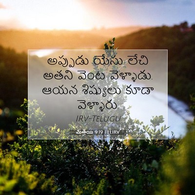 Picture 07 - మత్తయి 9:19 TELIRV - అప్పుడు యేసు లేచి - Bible Verse Picture