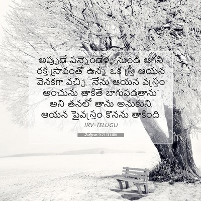 Picture 07 - మత్తయి 9:21 TELIRV - అప్పుడే - Bible Verse Picture