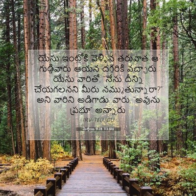 Picture 07 - మత్తయి 9:28 TELIRV - యేసు ఇంట్లోకి - Bible Verse Picture
