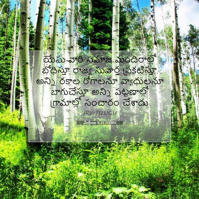 Picture 07 - మత్తయి 9:35 TELIRV - యేసు వారి సమాజ - Bible Verse Picture