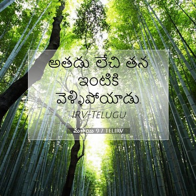 Picture 07 - మత్తయి 9:7 TELIRV - అతడు లేచి తన - Bible Verse Picture
