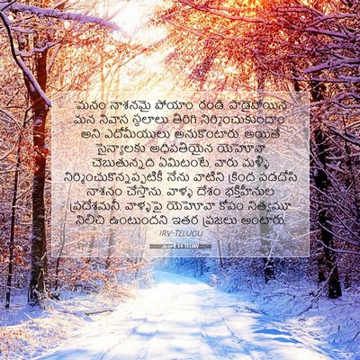 Picture 07 - మలాకీ 1:4 TELIRV - “మనం నాశనమై పోయాం. - Bible Verse Picture
