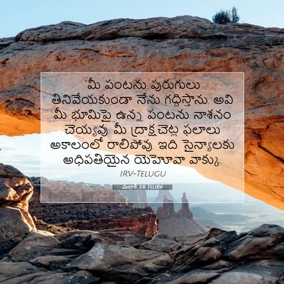 Picture 07 - మలాకీ 3:11 TELIRV - “మీ పంటను - Bible Verse Picture