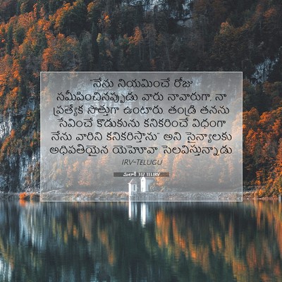 Picture 07 - మలాకీ 3:17 TELIRV - “నేను నియమించే - Bible Verse Picture