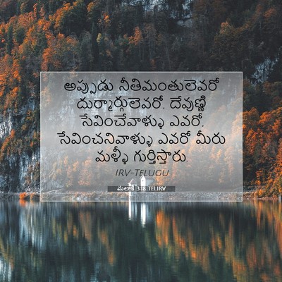 Picture 07 - మలాకీ 3:18 TELIRV - అప్పుడు - Bible Verse Picture