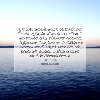 Picture 07 - మలాకీ 4:1 TELIRV - సైన్యాలకు అధిపతి - Bible Verse Picture